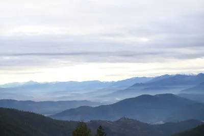 DSC_0089 (Large).JPG